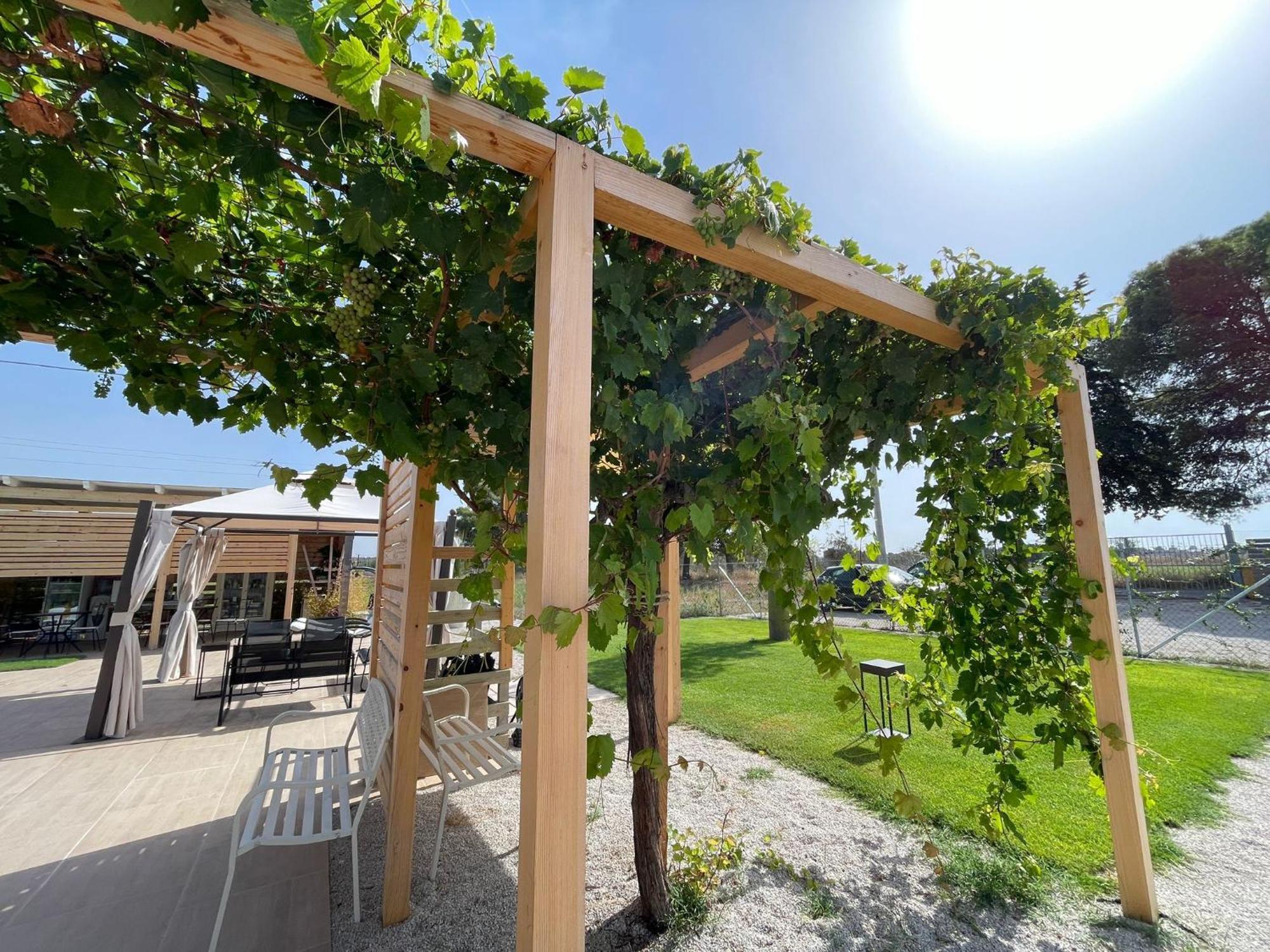 Le Stanze Di Chiara Hotel Torre Lapillo Exterior photo