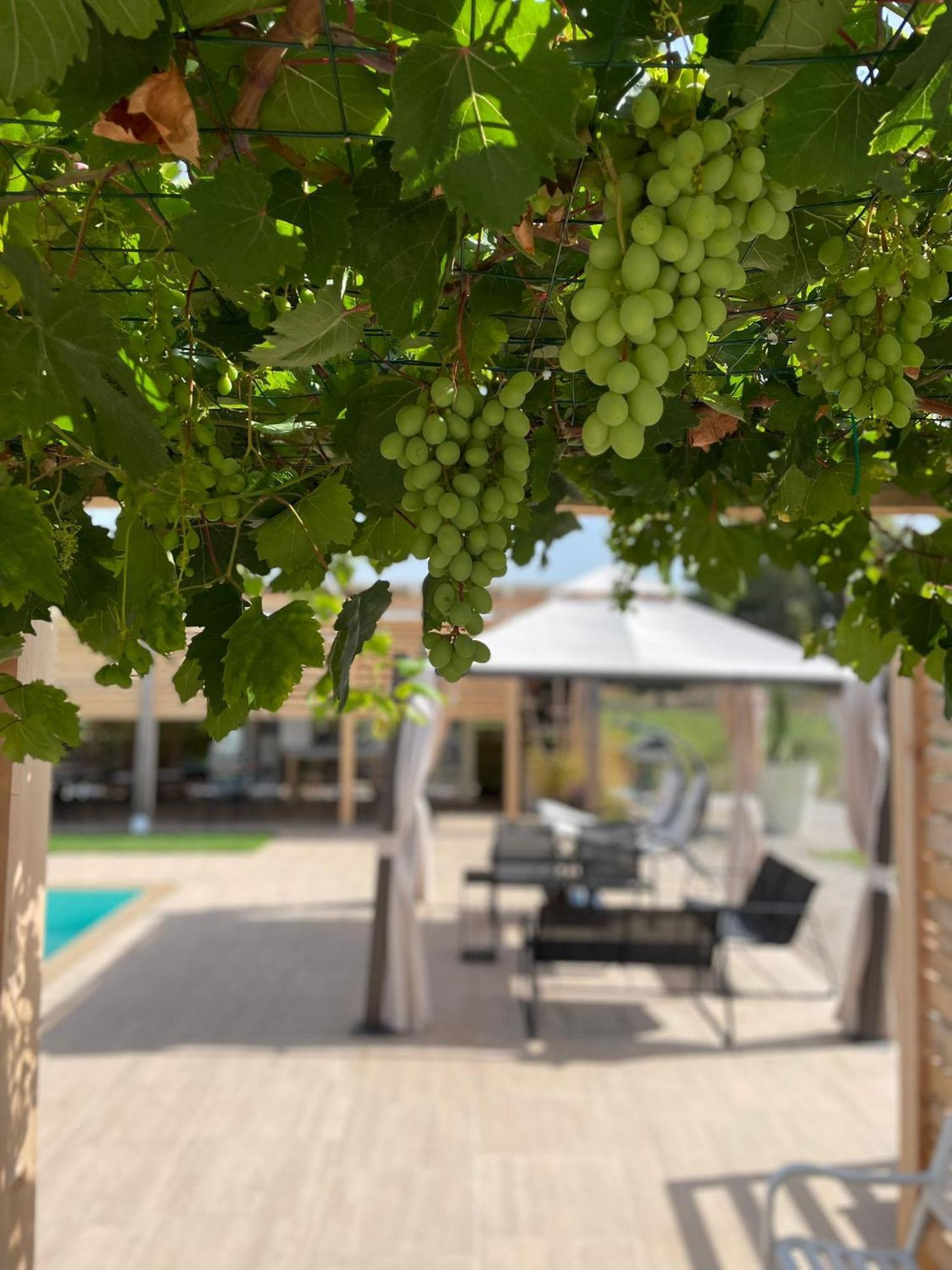 Le Stanze Di Chiara Hotel Torre Lapillo Exterior photo